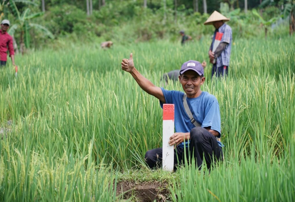 proses pematokan tanah sedang berlangsung