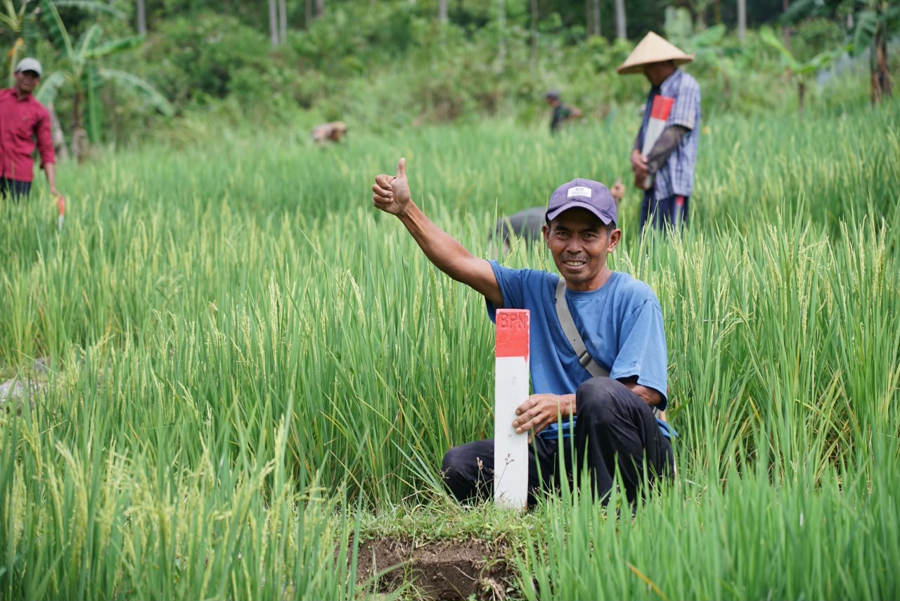 proses pematokan tanah sedang berlangsung