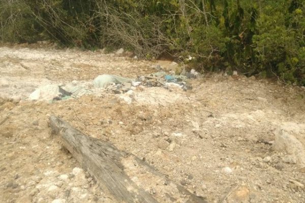 Diduga PT BPP Timbun Rawa Resapan Air, Pemdes Kalibrau dan Warga Resah