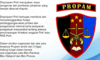 Ditpolair Dilaporkan ke Divpropam