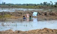 Pengrusakan Lahan, Sawah Digenagi Air Setinggi 1,5 Meter