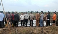 Tapem Ukur Ulang, Tak Fokus Pengrusakan Lahan