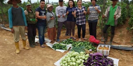 Febrita Deru Jual Hasil Kebun Hingga ke Pasar Induk Jakabaring