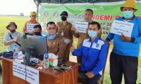 Petani Pahlawan Pangan Saat Pandemi