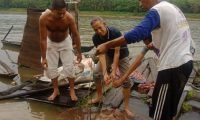 Bupati Komitmen Muba Jaga Biota Sungai