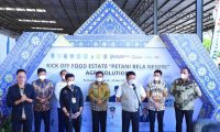 Sumsel Jadi Provinsi Peyanggah Pangan Nasional