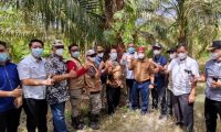 Usul Tol Betung-Tempino Diberi Nama Muba Jaya