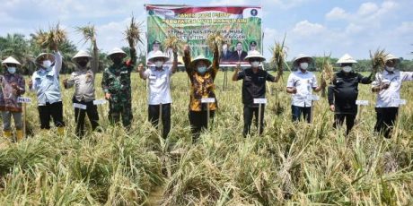 Pemkab Muba Wujudkan Petani Mandiri