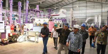Pabrik Mini Minyak Goreng Bakal Digarap di Muba