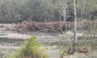 Timbunan Tanah Milik Pribadi Di Buang Ke DAS