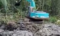 Alat Berat Diduga Rambah Hutan Lindung