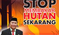 STOP MEMBAKAR HUTAN