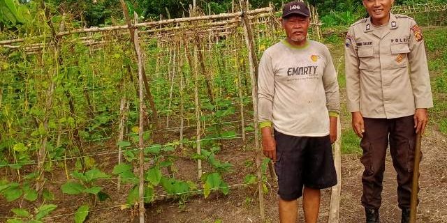 Aiptu Amran Mengungkapkan Petani Terkendala Pupuk
