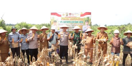 Kolaborasi Polres dan PT SLJ Hasilkan Panen Jagung