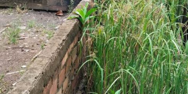 Pembuatan siring diduga tidak sesuai Bestek dan terkesan asal jadi