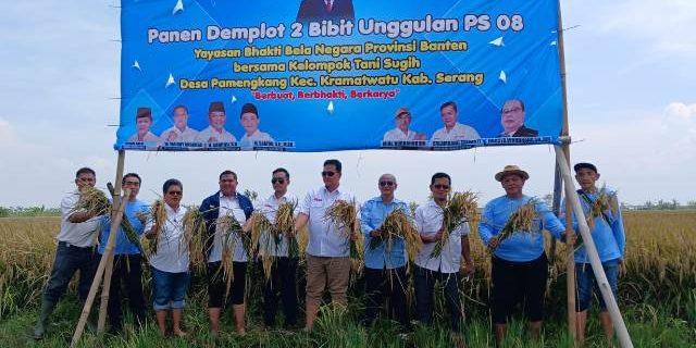 YBBN Panen Padi Bibit PS 08 Perkuat Ketahanan Pangan