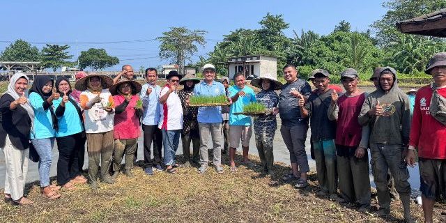 YAYASAN BHAKTI BELA NEGARA GELAR PENANAMAN BENIH PADI UNGGUL PS-08