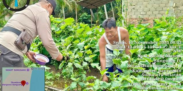 Polsek Sungsang Dukung Program Swasembada Pangan Presiden Polsek Sungsang Dukung Program Swasembada Pangan Presiden