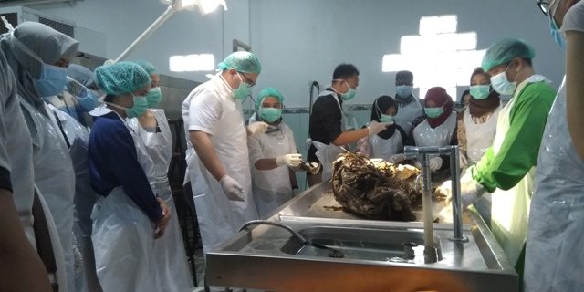 Tim dokter sedang melakukan tugasnya.