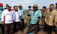 Anggota DPRD OI Prakarsai Tanam Padi di Lahan Tidur
