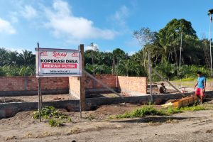 Wartawan Dilarang Meliput Proyek KopDes Merah Putih Ngulak III