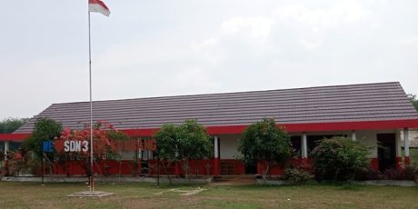 Realisasi Dana BOS SDN 3 AK Dilaporkan ke APH