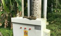 LISTRIK PLN PADAM, PETUGAS: ADA TUPAI BUNUH DIRI