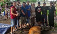 Musholla At-Taqwa Qurban Satu Ekor Sapi, Tujuh Ekor Kambing