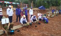 Peringatan HLH Sedunia Ditandai Penanaman Pohon