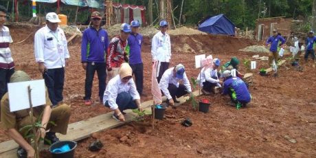Peringatan HLH Sedunia Ditandai Penanaman Pohon